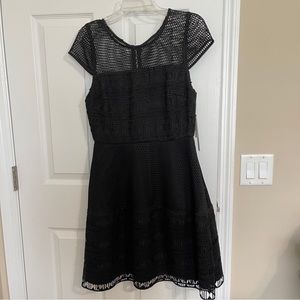Nicole Miller A-Line Knee-Length Dress Black Cutout Accent Short Sleeves Size 8